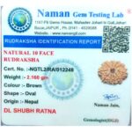 Natural Certified 10 Mukhi Rudraksha - Origin: Nepal (Size:16-19 MM) - Image 4