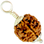 Natural 1 Mukhi Rudraksha-Big Size in Silver Pendant-Nepal (Beads Size: 16-19 MM) - Image 2