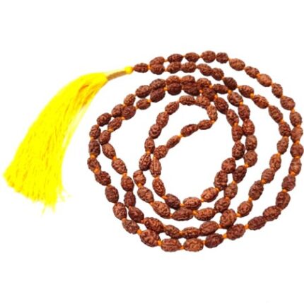 Natural 2 Mukhi Rudraksha Mala- Indonesia - 7-9 MM