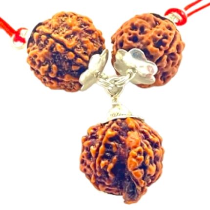 Natural Saraswati Kavach-4+6+Ganesh Mukhi Rudraksha Combination (Beads Size: 16-19 MM)