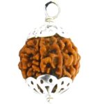 Natural 6 Mukhi Nepal Rudraksha Pendant in Pure Silver (Bead Size: 16-19 MM)