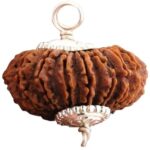 Natural 14 Mukhi Nepal Rudraksha Pendant in Pure Silver (Bead Size: 20-23 MM)