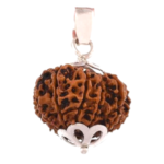 Natural 11 Mukhi Rudraksha Pendant in Silver-Nepal (Bead Size: 16-19 MM)