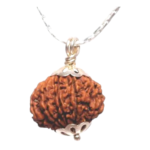 Natural 12 Mukhi Rudraksha Pendant in Silver-Nepal (Bead Size: 16-19 MM)