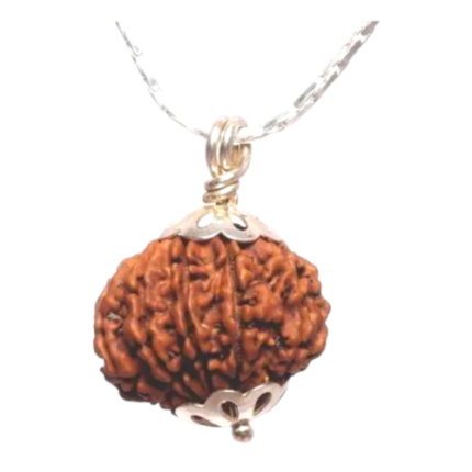 Natural 12 Mukhi Rudraksha Pendant in Silver-Nepal (Bead Size: 16-19 MM)