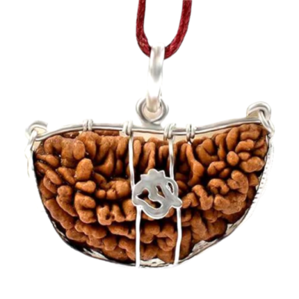 Natural 1 Mukhi Rudraksha Pendant in Silver-South India (Bead Size: 18-21 MM)