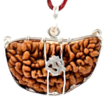 Natural 1 Mukhi Rudraksha Pendant in Silver-South India (Bead Size: 18-21 MM) - Image 2