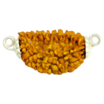 Natural 1 Mukhi Rudraksha Pendant in Silver-South India (Bead Size: 18-21 MM)
