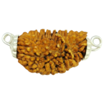 Natural 1 Mukhi Rudraksha Pendant in Silver-South India (Bead Size: 18-21 MM) - Image 3