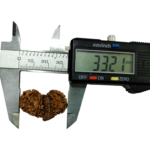 Natural Certified 14 Mukhi Gauri Shankar Ganesh Rudraksha-Big Size-Origin: Nepal-Size: 33.21 MM - Image 3