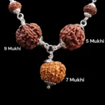 Natural Laxmi Kavach with Silver Capping (5,6,7M Beads Size: 16-19 MM and 7M  Mala 6-8 MM) - Image 2