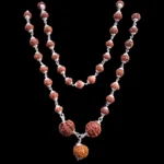 Natural Laxmi Kavach with Silver Capping (5,6,7M Beads Size: 16-19 MM and 7M  Mala 6-8 MM) - Image 3