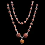 Natural Laxmi Kavach with Silver Capping (5,6,7M Beads Size: 16-19 MM and 7M  Mala 6-8 MM)