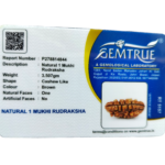 Natural Siddha Mala-1to14 Rudraksha+Gauri Shankar+Ganesh Rudraksha with Silver Capping - Image 2